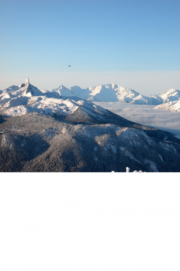 Creation of Mountain Towers: Step 21